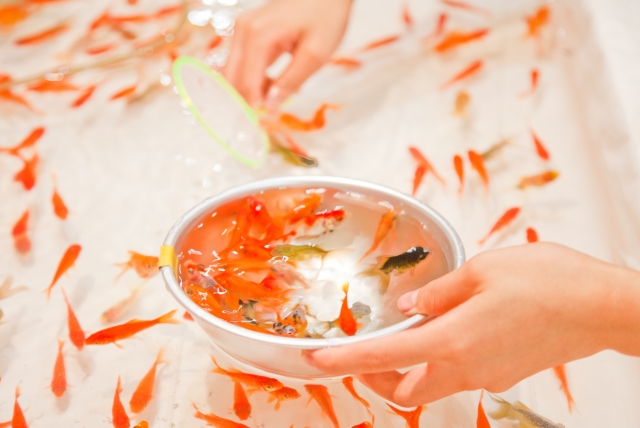 8887790f4ac794ec6abb317d39bde016_s