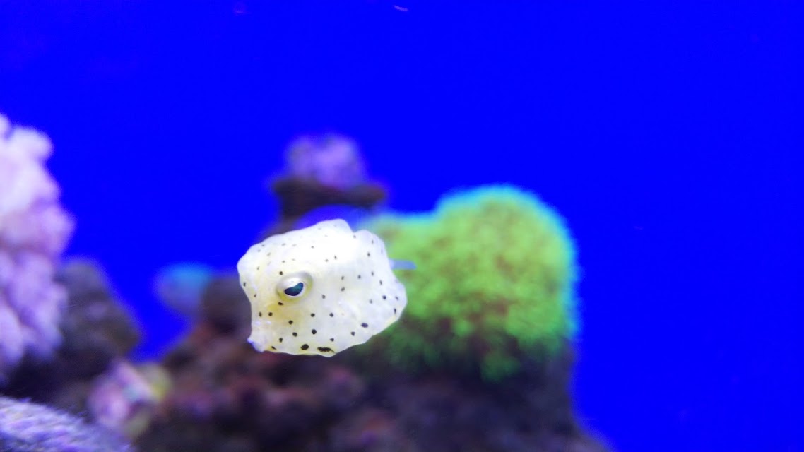 IMG_0098_BURST0010001