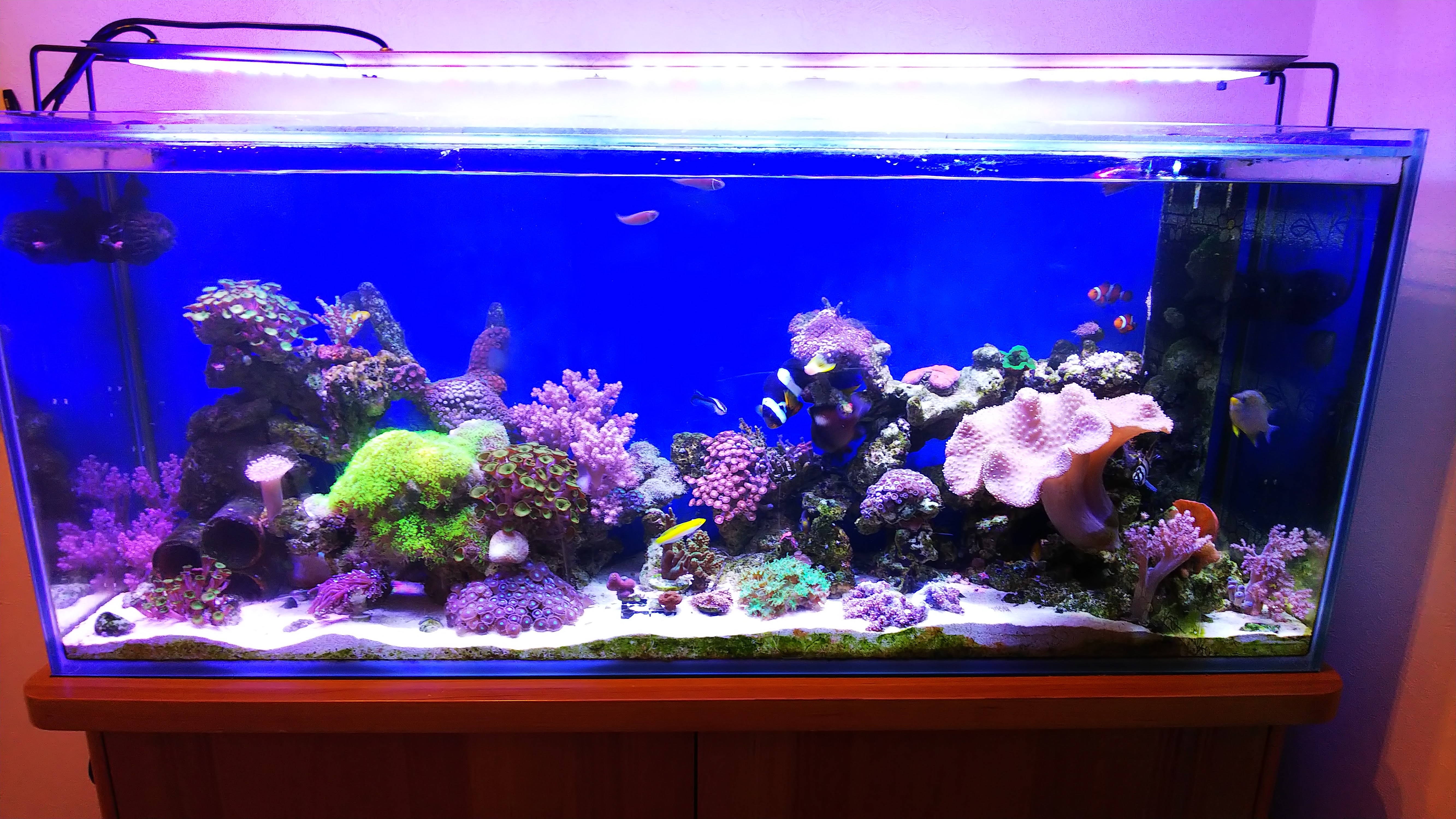 水槽全景20210801