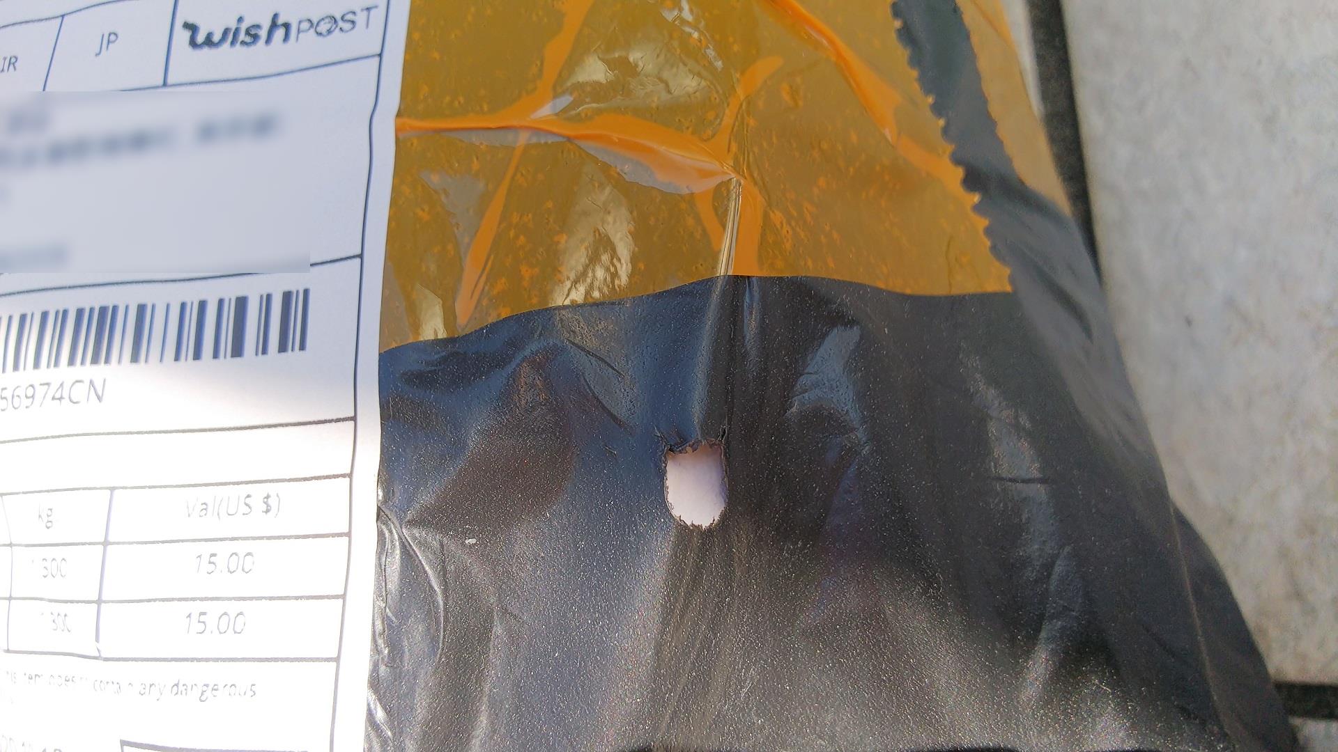 02_wish_ヴァイオリン_到着ズーム_