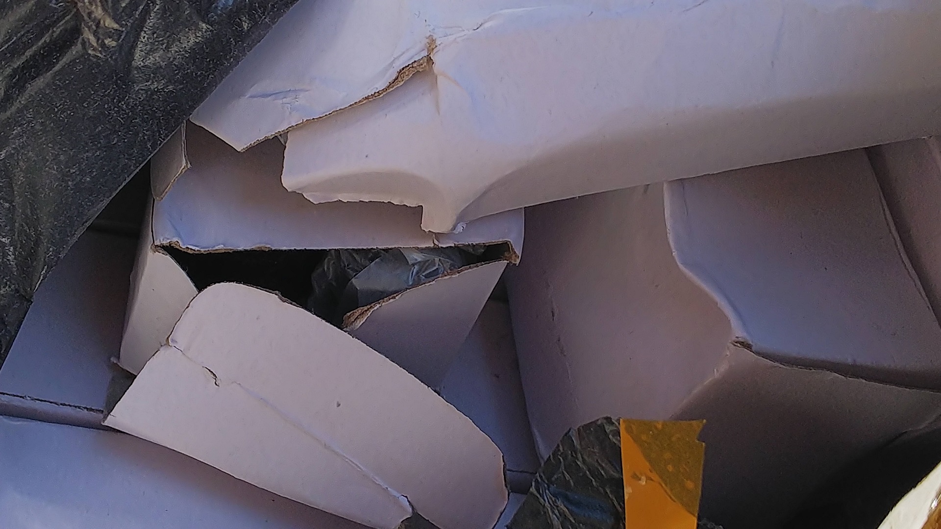 04_wish_ヴァイオリン開封ズーム