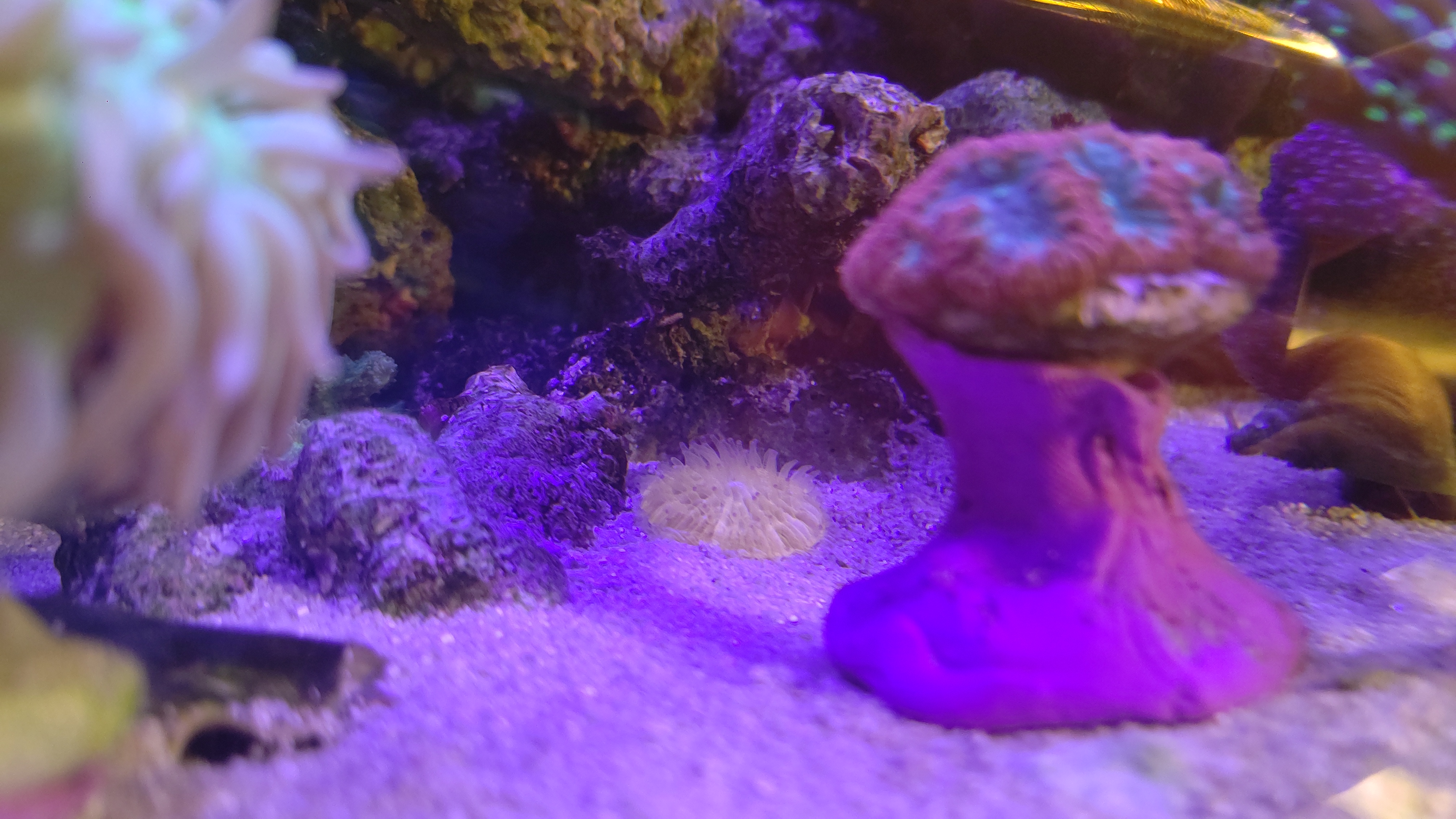 2_クサビライシ