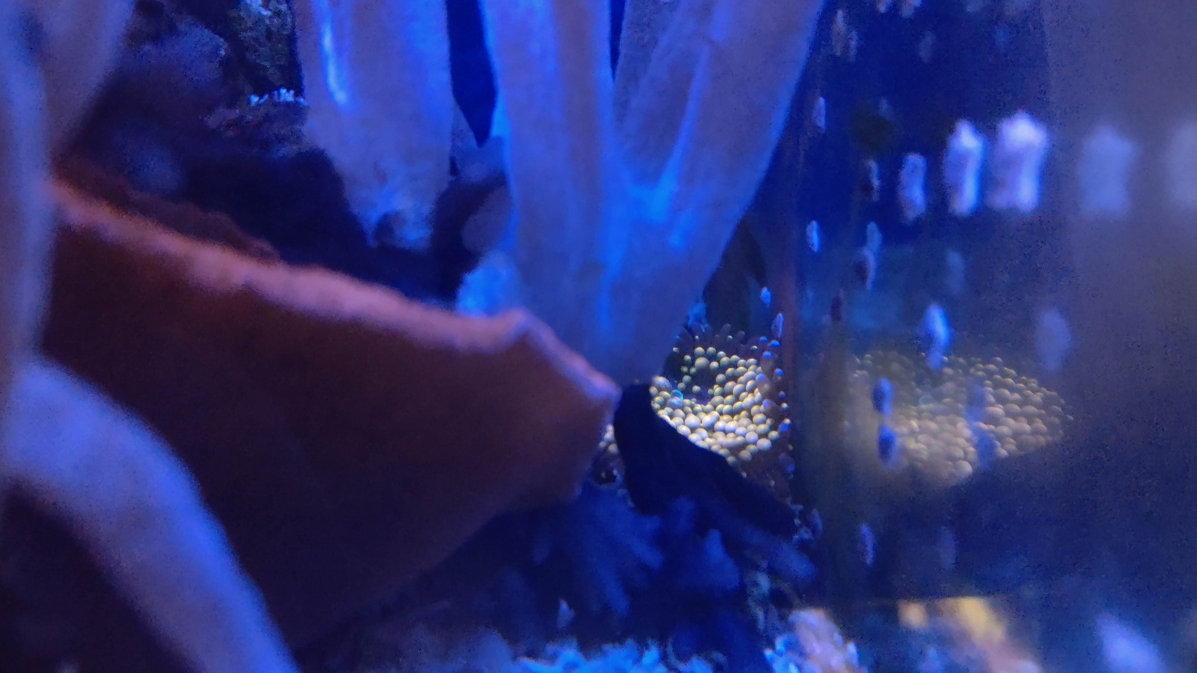 色々なところのバブルディスク